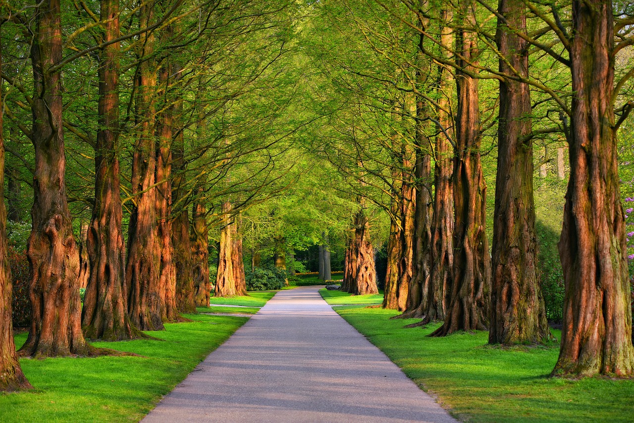 green road